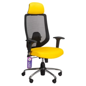 color image TLP 137504 6f5dfec1 825d 11f0 bea5 17f082fe705a