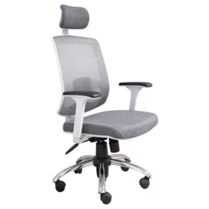 color image TLP 139366 9f462ddd 8584 11f0 bea5 17f082fe705a