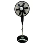 color image TLP 140147 856f9eaf 9081 11f0 bea5 17f082fe705a