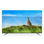 color image TLP 149358 1a1a1a 55b6ad9c c6e2 46d7 9d1e 36f76462c097