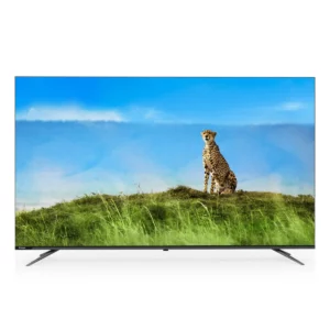 color image TLP 149358 1a1a1a 55b6ad9c c6e2 46d7 9d1e 36f76462c097