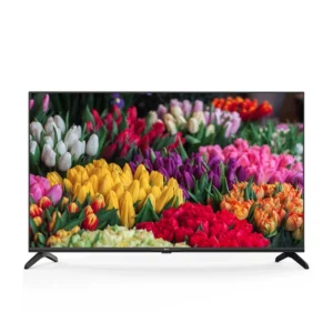 color image TLP 168994 1a1a1a 90f9c3f4 2b57 4bd0 a662 6bf884043c8b