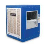 color image TLP 35839 3479bf 46186176 0d26 4378 944c 142d026ab368