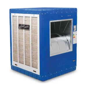 color image TLP 35845 3479bf b74656ed a4d0 4688 be04 80d7ce15b171