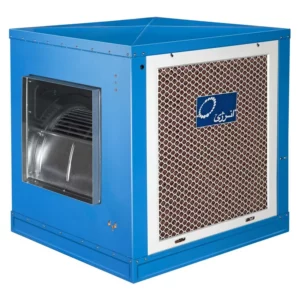 color image TLP 53018 3d9ebced 4e48 11ef 94e0 5dc9fd964217