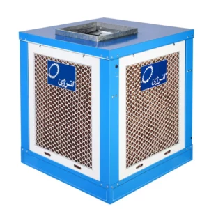 color image TLP 53023 3d9ebd1c 4e48 11ef 94e0 5dc9fd964217