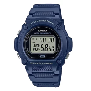 color image TLP 54672 d61fbbea 596b 11ef 94e0 5dc9fd964217