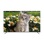 color image TLP 60146 444a4f 53290a1c 3503 41d4 891c 19aac87b127c