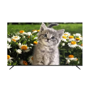 color image TLP 60146 444a4f 53290a1c 3503 41d4 891c 19aac87b127c