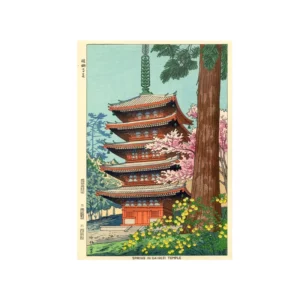 color image TLP 66265 e59464e8 ab10 11ef 84f5 93c1d43a1191