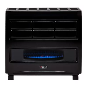 color image TLP 66590 b8f450de abd5 11ef 84f5 93c1d43a1191