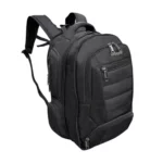 color image TLP 69406 1a1a1a 72f7ecac f7f7 4eaa 96c5 77205d28923b