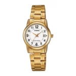 color image TLP 70235 7243e2ad c11e 11ef b01a c3adfa1061f1