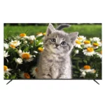 color image TLP 79583 2b2b2b 86416168 e59d 400c b037 a5f873e86adc