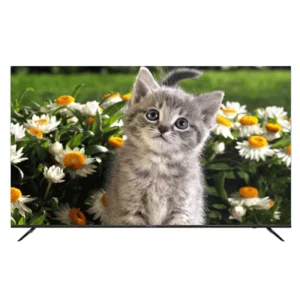 color image TLP 79583 2b2b2b 86416168 e59d 400c b037 a5f873e86adc