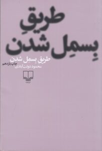 color image TLP 92003 239059bf e954 11ef b091 7c10c98398da