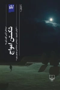 color image TLP 95432 76b49c57 e95d 11ef 80a0 7c10c98398da