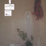 color image TLP 98289 e0a97344 e9d6 11ef a400 7c10c98398da