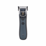 color image TLP 122795 35e4c047 4511 11f0 aba2 33c4e03c9e17