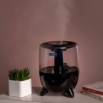 color image TLP 239533 bd58676a 386d 40d9 950d 0d6b58d595ac