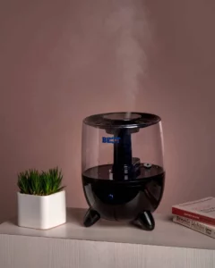 color image TLP 239533 bd58676a 386d 40d9 950d 0d6b58d595ac